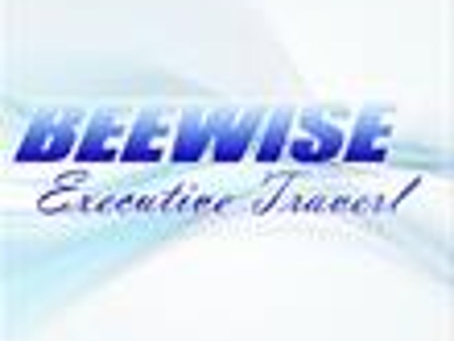 Beewise Executive Travel