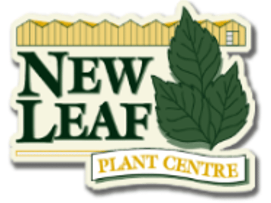 New Leaf Plant Centre