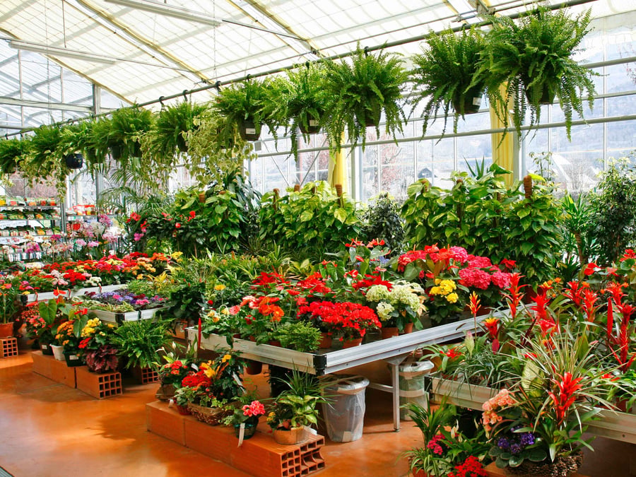 Mike Capstick Nursery