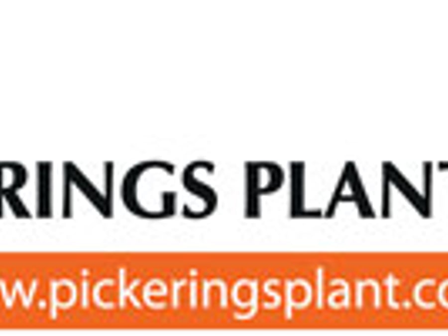 Pickerings Plant Ltd