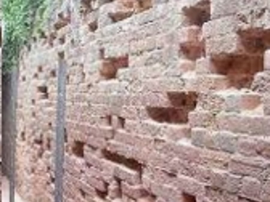 Devon Wall Care